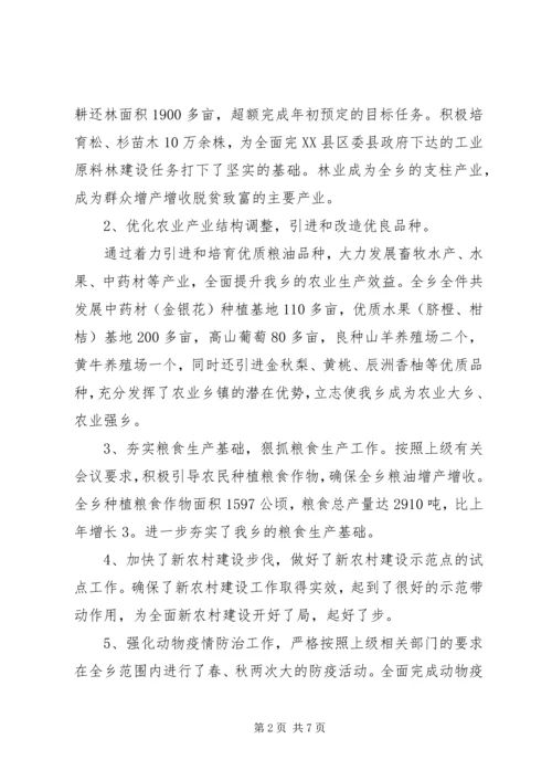 乡（镇）政府工作总结.docx