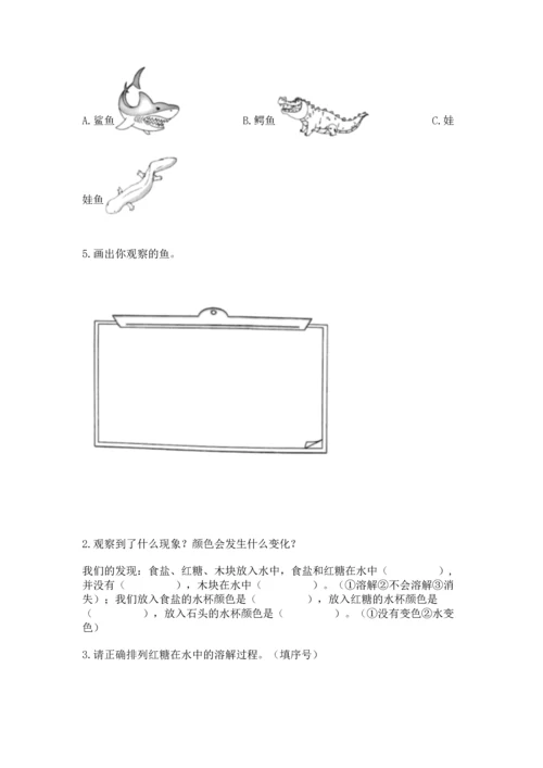 教科版一年级下册科学期末测试卷及参考答案（培优b卷）.docx