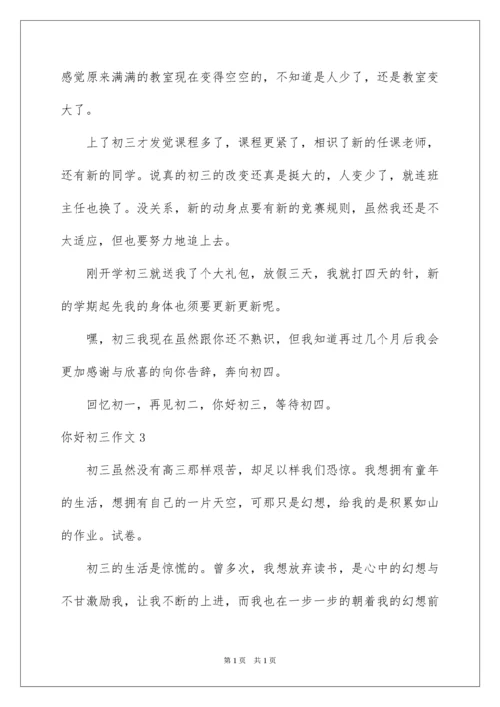 2022你好初三作文.docx