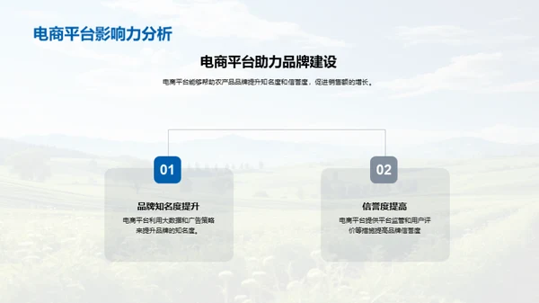 电商助力农品品牌