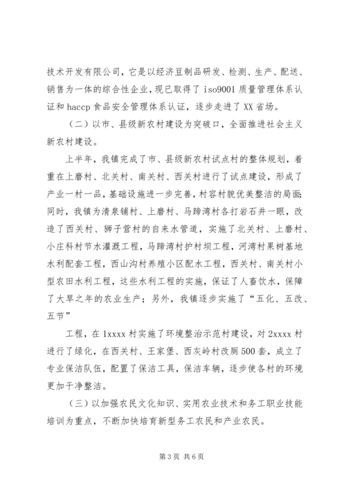 乡镇政府某年上半年工作总结.docx