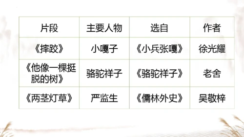 13摔跤   课件