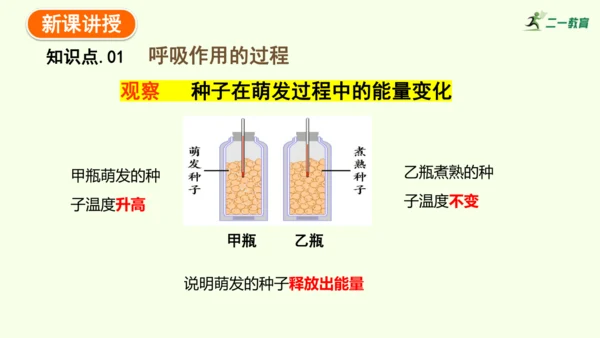 3.2.3呼吸作用-七年级生物下学期同步精品课件（2024人教版）(共24张PPT)