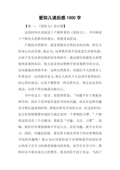 爱弥儿读后感1000字.docx