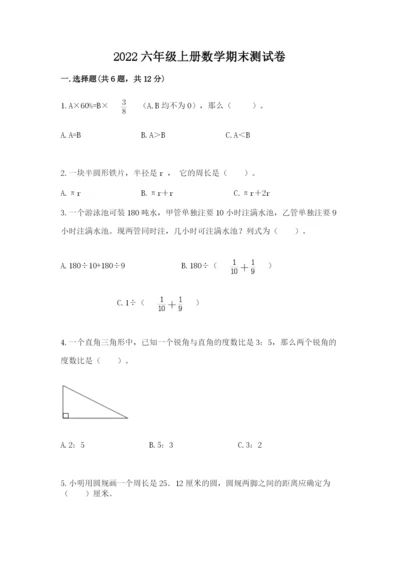 2022六年级上册数学期末测试卷附答案【轻巧夺冠】.docx