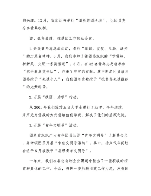 公司团总支工作总结