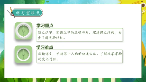 【核心素养】部编版语文三年级下册-14. 蜜蜂 第1课时（课件）