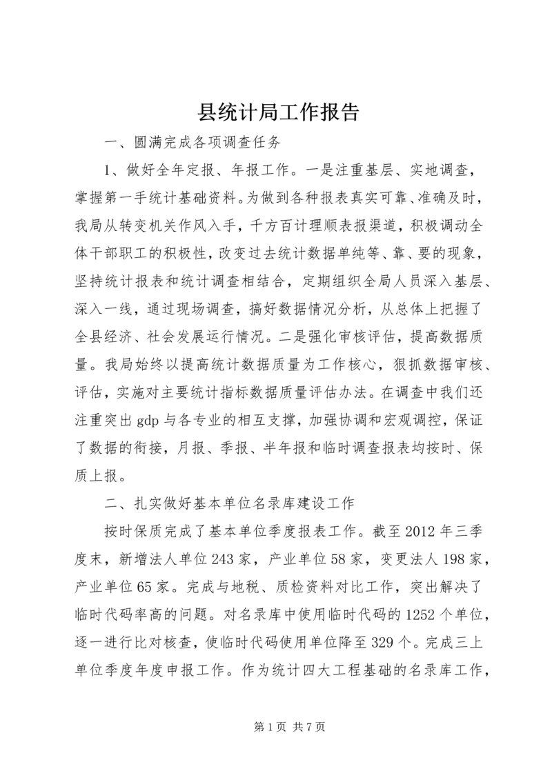 县统计局工作报告.docx