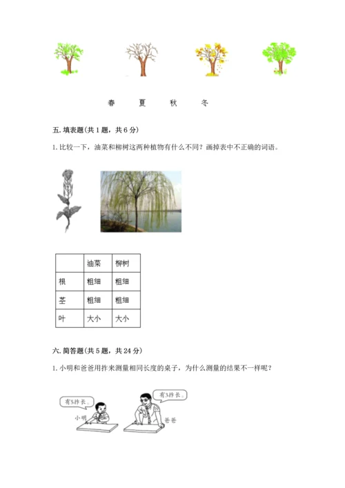 教科版一年级上册科学期末测试卷含完整答案【易错题】.docx