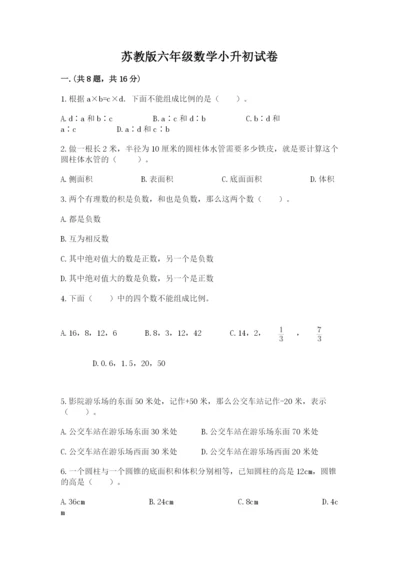 苏教版六年级数学小升初试卷及完整答案（典优）.docx