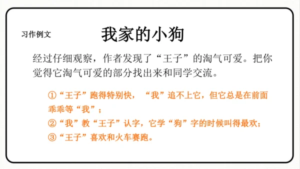 小学统编版三年级语文上册 语文园地五 课件