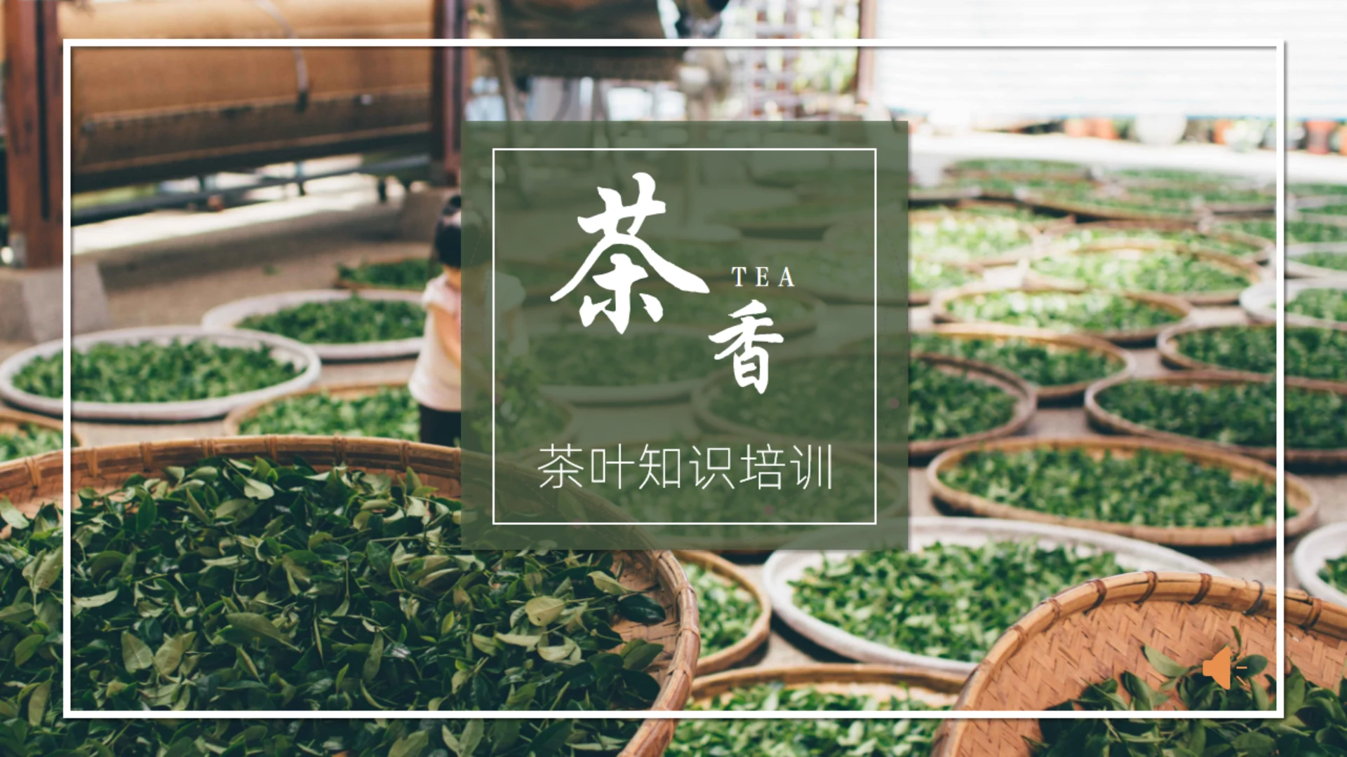 茶香清新茶叶知识培训通用PPT课件