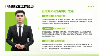 绿色简约风销售行业工作经历