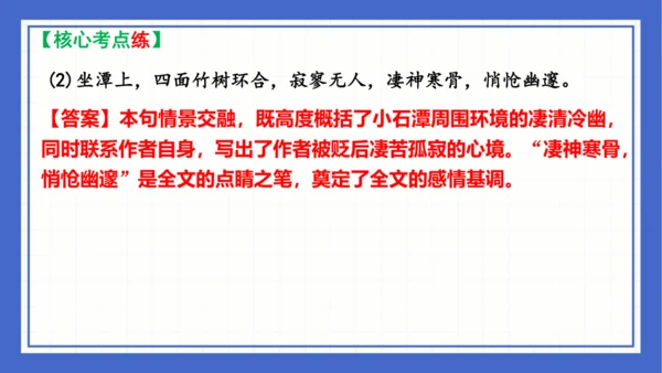 第三单元复习课件 2023-2024学年统编版语文八年级下册(共58张PPT)