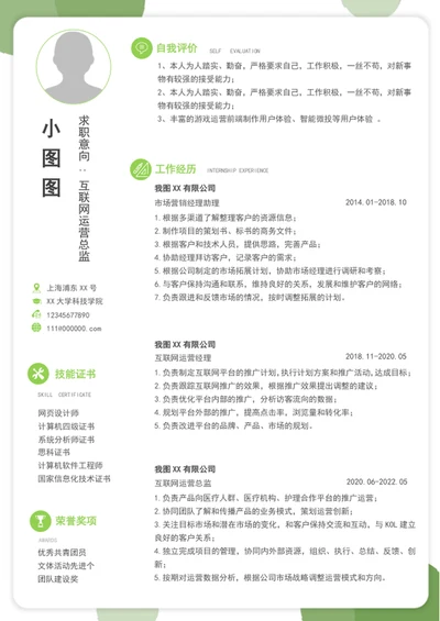 大气互联网运营总监个人简历模板word