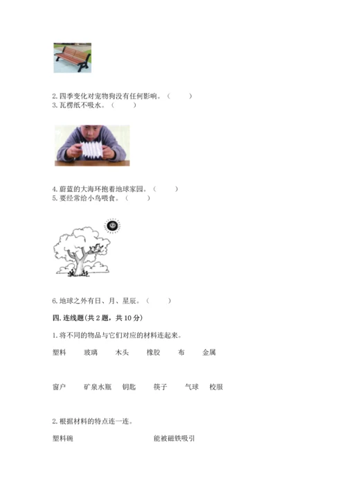 教科版二年级上册科学期末测试卷带答案（模拟题）.docx