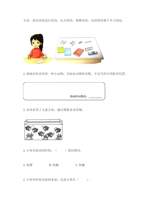 教科版一年级下册科学期末测试卷精品（全优）.docx