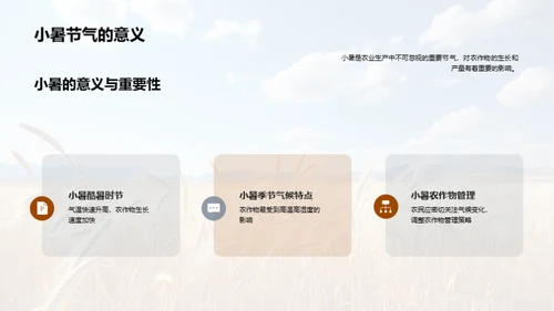 小暑气候与农业管理