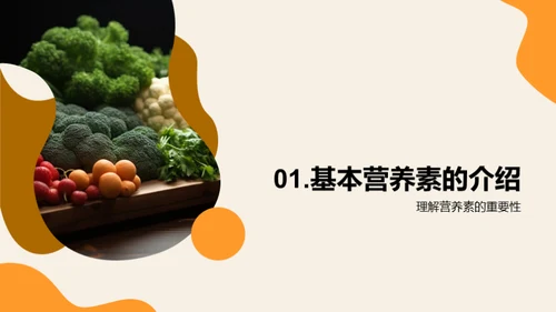 营养饮食与健康生活