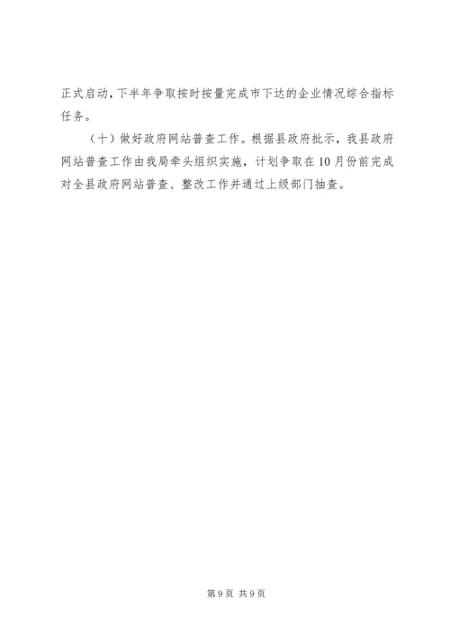 乡镇经信局上半年重点工作总结及工作计划.docx