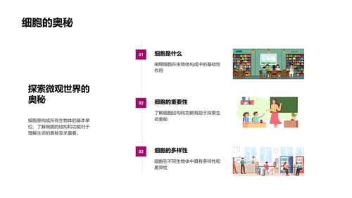 细胞知识讲解PPT模板