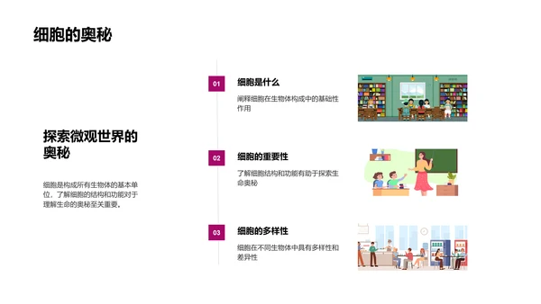 细胞知识讲解PPT模板