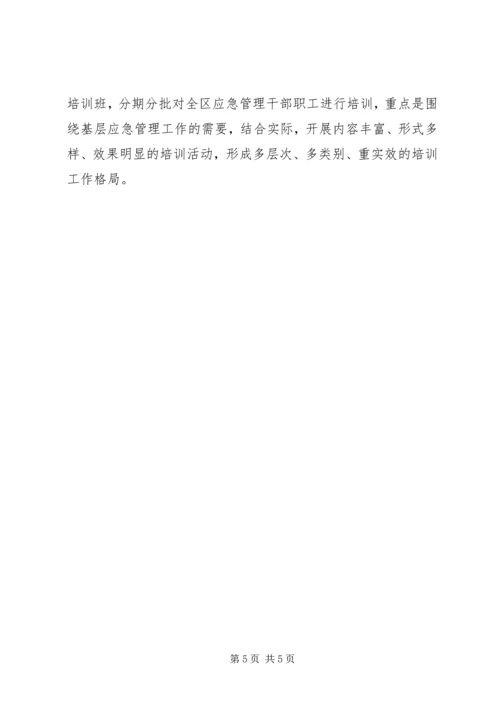 市政办应急管理工作计划.docx