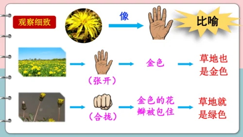 第16课《金色的草地》（第二课时）课件