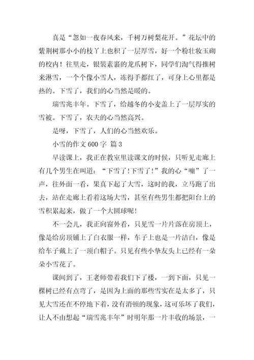 2023年关于小雪的作文600字（精选59篇）