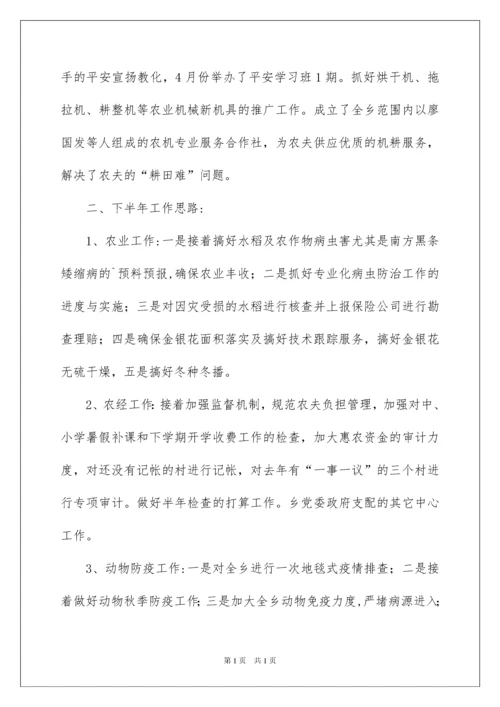 2022乡农业农村工作上半年总结及下半年工作计划.docx