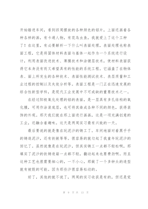 金工实习生个人工作总结范文.docx