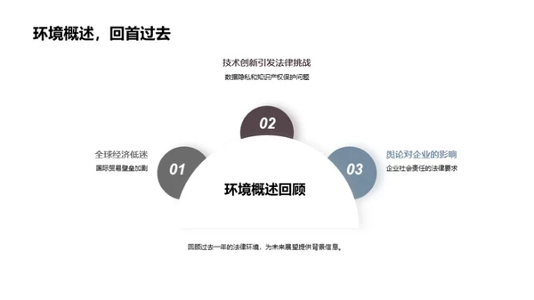 法律风险管理解析