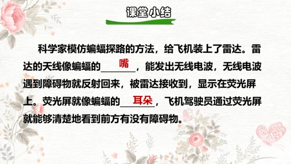 6夜间飞行的秘密  课件