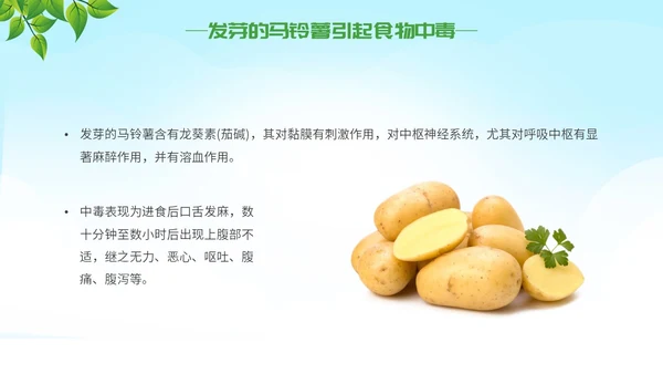 绿色大气插画食品安全两个责任主题PPT模板