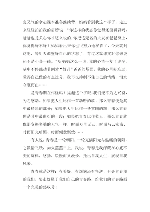 别样的青春路作文.docx