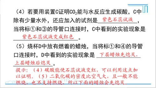 实验活动2 二氧化碳的实验室制取与性质