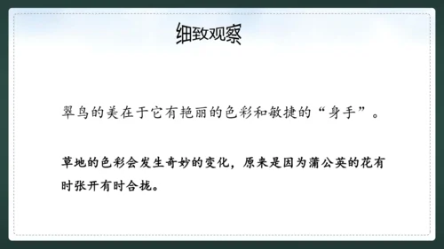 统编版语文三年级上册 第五单元  习作例文 我爱故乡的杨梅 课件