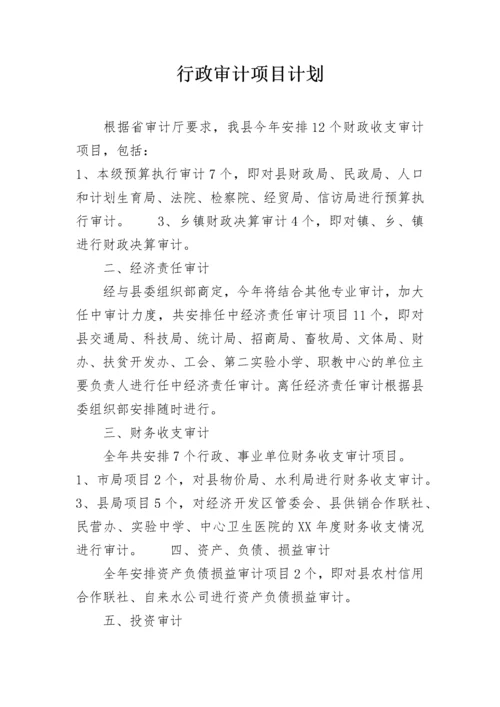 行政审计项目计划.docx