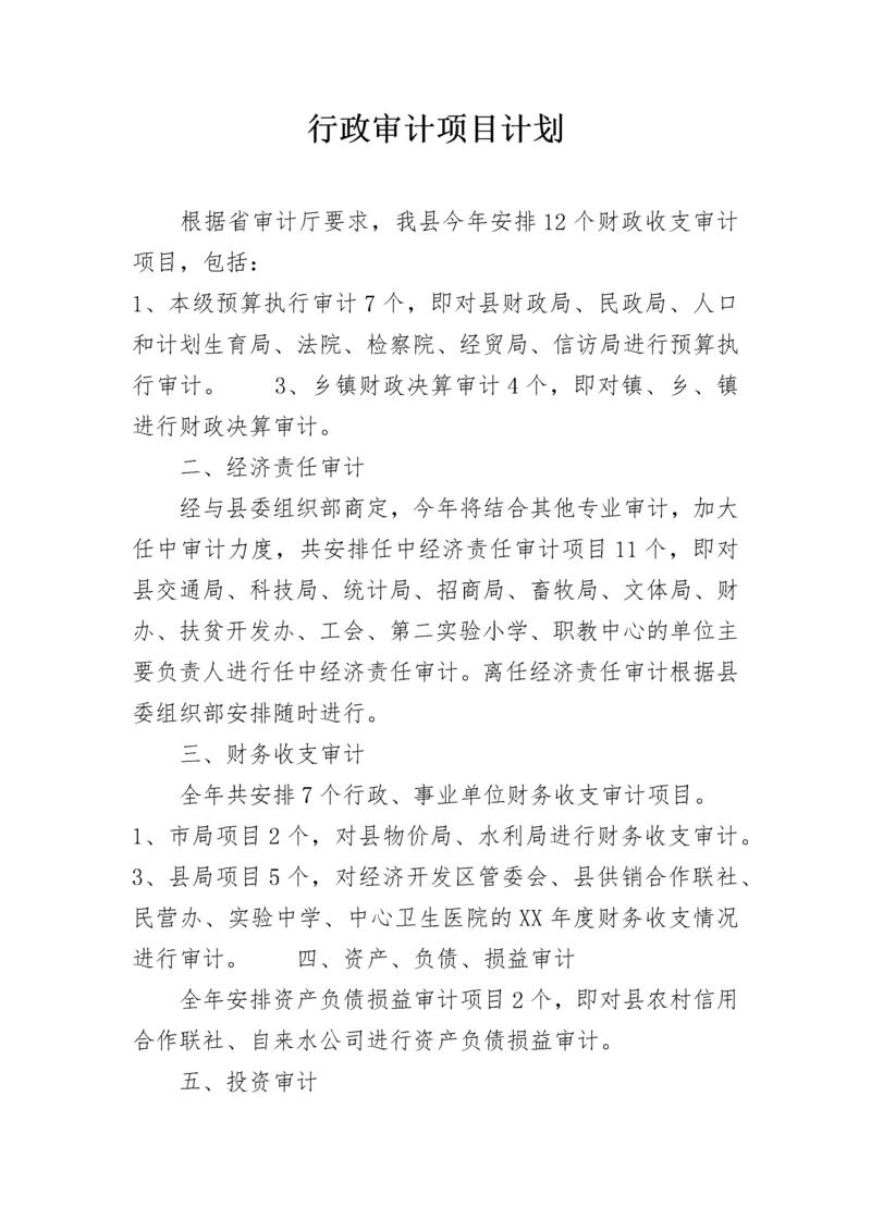 行政审计项目计划.docx