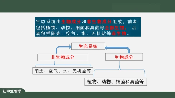 1.2.2 生物与环境组成生态系统 课件（共30张PPT）