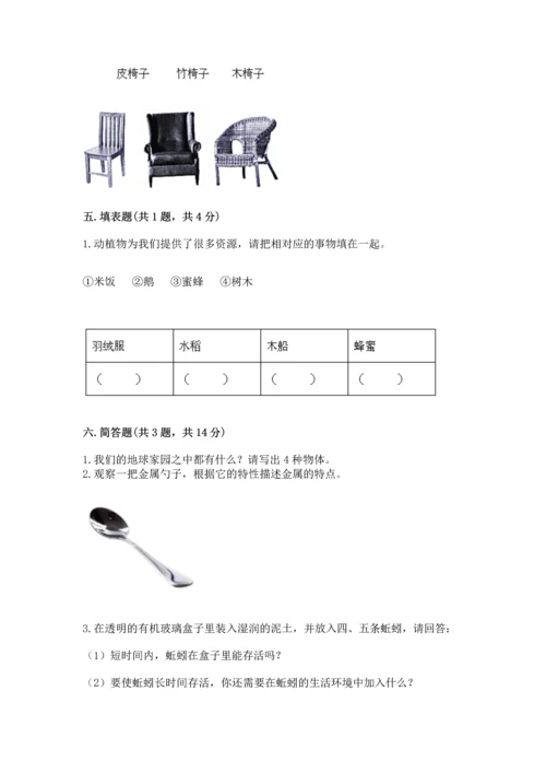 教科版二年级上册科学期末测试卷（模拟题）.docx