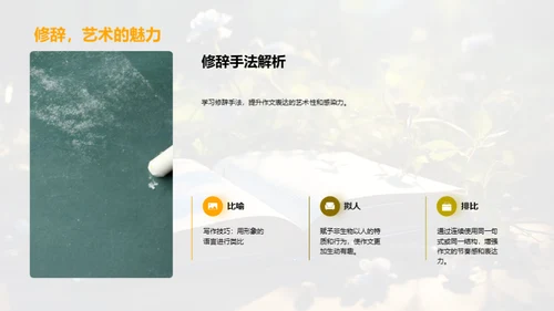 写作的艺术与习惯
