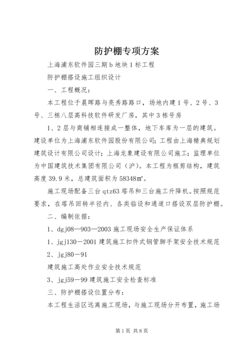 防护棚专项方案 (4).docx