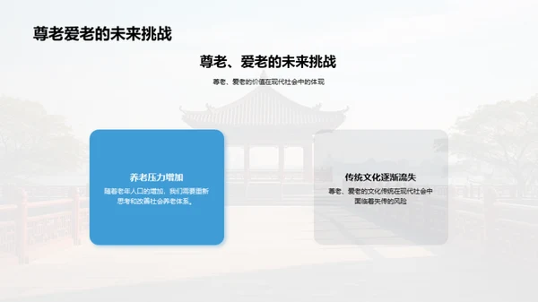 尊老爱老的社会实践