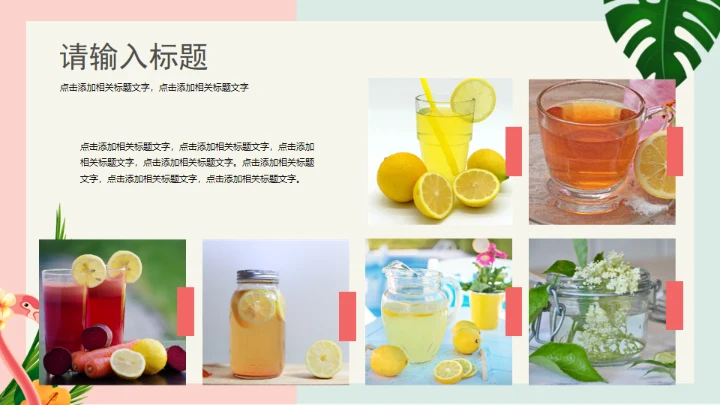 火烈鸟夏日通用PPT