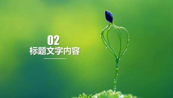 开场视频片头小苗生长发芽开花ppt模板