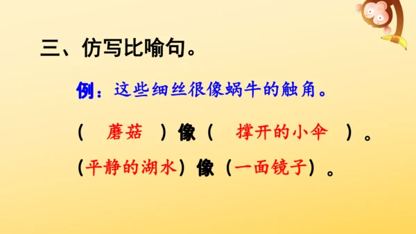 10 爬山虎的脚   课件