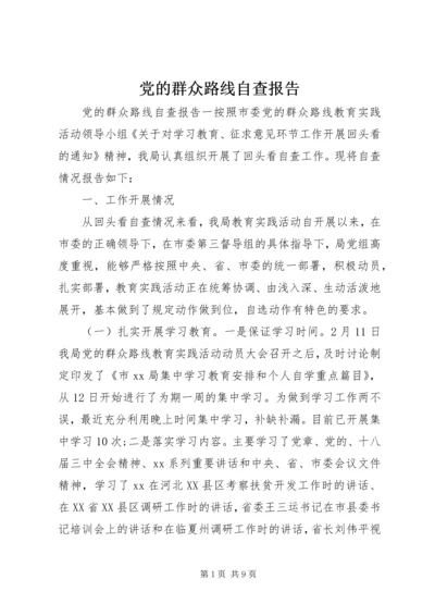 党的群众路线自查报告.docx