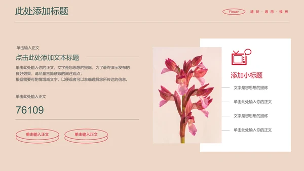 彩色花卉小清新通用PPT演示模板