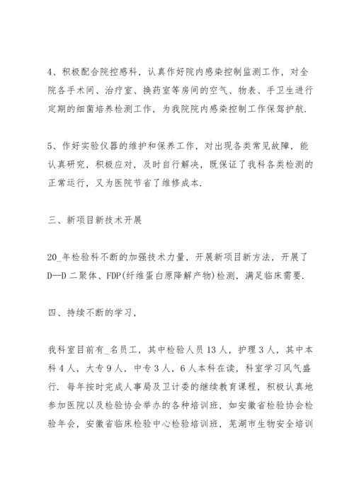 检验师个人工作总结5篇.docx